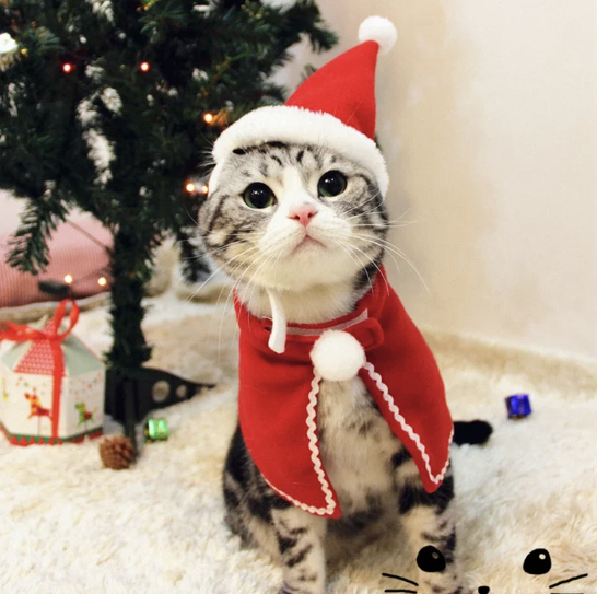 Pet Christmas Clothes