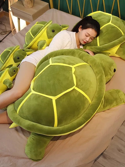 Terry the Tortoise plush